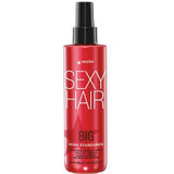Big Sexy Hair High Standards Volumizing Blow Out Spray 6.7oz